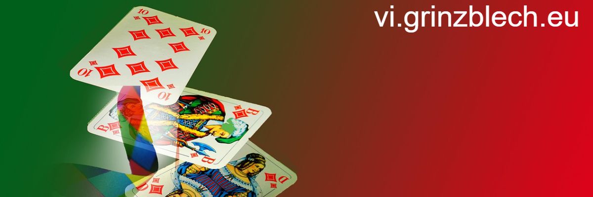 vi.grinzblech.eu